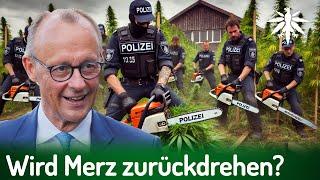 Unter Kanzler Merz: Wird CanG zurückgedreht? | DHV-News # 458