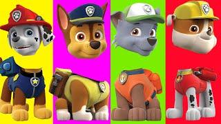 Paw Patrol Coffin Dance Wrong Heads REMIX Astronomia | Patrulla de Cachorros