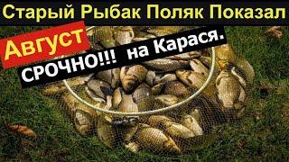 Старый рыбак Поляк раскрыл секрет. Рыболовная насадка на карася и карпа.