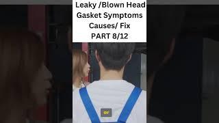 Leaky /Blown Head Gasket Symptoms Causes/ Fix PART 8/12