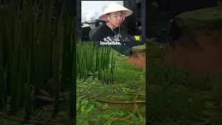 Asian Dad uses Invisibility on Fortnite (Bik Wong)