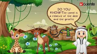 Primary Science| Why does a camel have a hump?| @doerDo