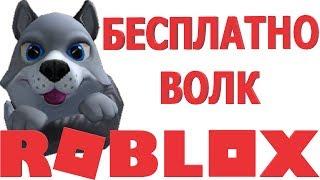 КАК ПОЛУЧИТЬ ЯЙЦО ВОЛК В РОБЛОКС ИВЕНТ 2019 | бесплатные вещи и скины в роблокс | ивенты в роблокс