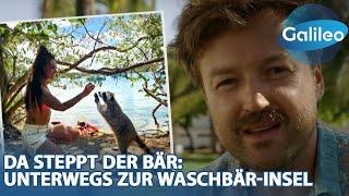 Unterwegs zur Waschbär-Insel! Martin Dunkelmann erkundet die kleine Insel in der Nähe von Miami