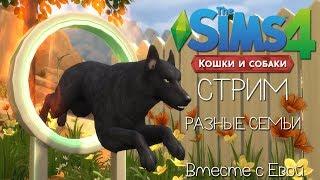 The Sims 4 (все дополнения) - ПИТОМЦЫ! (Stream)