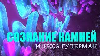 СОЗНАНИЕ КАМНЕЙ. ИНЕССА ГУТЕРМАН