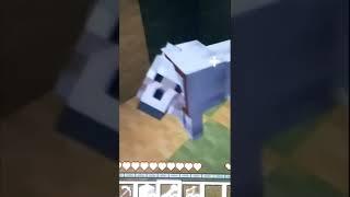 Best friend in Minecraft is Wolf #shorts #cute #minecraft #wolf #bestfriend #friends #friends