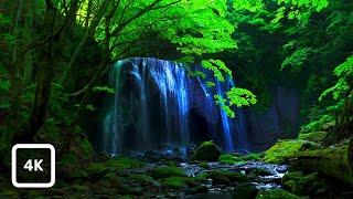 Peaceful Japanese Waterfall Ambience with Relaxing Water Sounds for Sleep & Relaxation