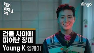 [세로라이브] Young K (DAY6) – 건물 사이에 피어난 장미 (Rose Blossom) | 딩고뮤직 | Dingo Music