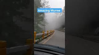 Mesmerized beautiful cloudy weather of Murree. #beautiful #iamrjanees #nature