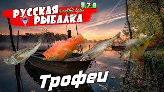 Русская Рыбалка Installsoft Edition 3.7.6 Трофеи #16 Морской дракончик Морской окунь Озёрная форель