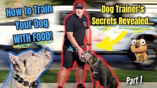 DO NOT TRAIN YOUR DOG WITH TREATS!  Professional Dog Trainer Food Training Secrets Revealed!