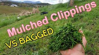 Grass Clippings // Mulch vs Bag - Which Is Best