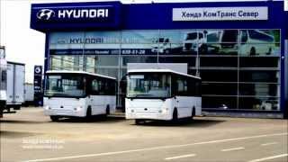 Автобус малого класса Hyundai Bogdan A20 (24 - 46 мест) \ Hyundai County Kuzbas