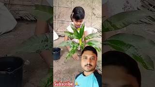 Saved water from flowing weste   ||INDIA___MADU short 1M || #shorts #tree #water #savewater #viral