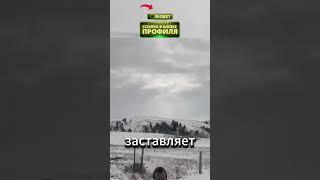 Нападение медведя