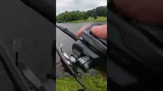 Frog fishing #frogfishing #topwater #fishing #fypシ゚viral #fyp #bassfishing