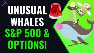 OPTIONS FLOW Unusual Whales Day Trading SPY SP500 Stock Market News