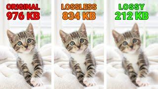 What Is the Difference in Lossy vs Lossless Compression?