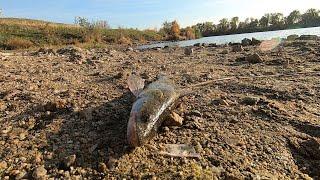 Рыбалка на судака! Открыли для себя новый сельский водоем