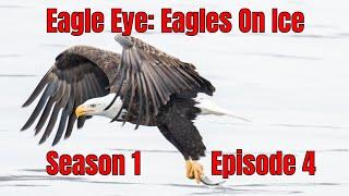 Eagle Eye: Eagles on Ice/That''s Wild! S1EP4