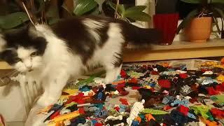 Lego Bionicle MOC bauen hatte dabei Besuch von meiner Katze #lego #bioniclemoc #bionicle #legomoc