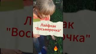 Лайфхак - "Восьмерочка"#shorts#помидоры#рассада#дача#восьмерка#урожай#seedlings#eight#harvest