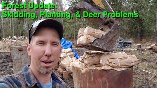 Skidding, Planting, & Deer Challenges on my 50 Acres in Skagit