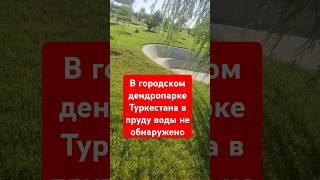 В пруду нет воды сегодня,Пить тоже неоткуда