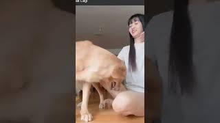 wanita cantik sama anjing