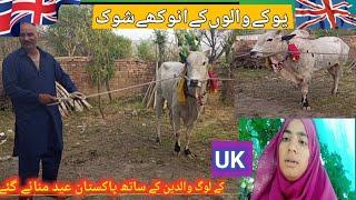 UK walon ke anokhe hobbies || UK people came to Pakistan to celebrate Eid with their parent