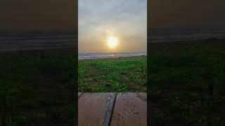#beachvibes #travel #beautifulplace #shorts #srilanka 