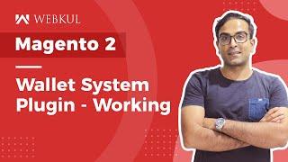Magento 2 Wallet System Plugin - Working