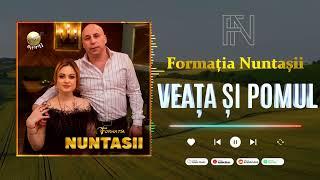 Formația Nuntașii - VEAȚA ȘI POMUL  / Muzica moldoveneasca 2024