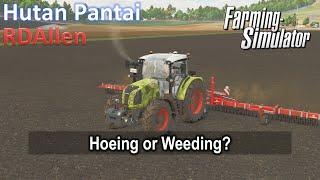 Hoeing or Weeding??? | E33 Hutan Pantai | Farming Simulator 25