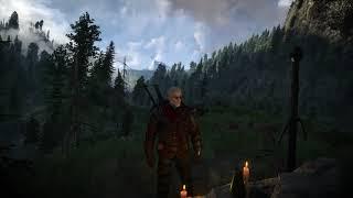 Могила Лео. Witcher 3.