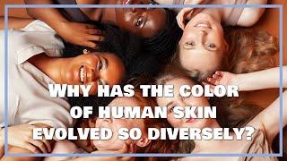 Why has the color of human skin evolved so diversely?