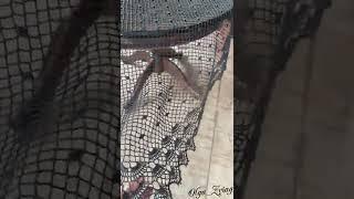 Скатерть вязаная крючком прямоугольная