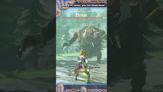 Mini Boss Tricks in Zelda Breath of The Wild | BotW Lynel, Hinox, Stalnox, Molduga