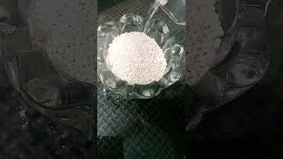 Tapioca Pearl #asmr #tapiocapearls #shorts
