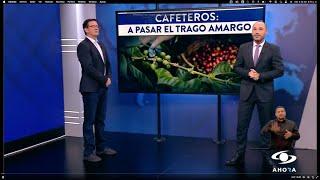 Hoy en Echemos Lápiz de Noticias Caracol, Germán Bahamón, Gerente General FNC