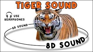 TIGER SOUND - TIGER SOUND EFFECT - NOISE OF TIGER - animal sound