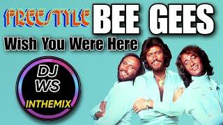 Bee Gees - Wish You Were Here (Freestyle Mix DJ WS)