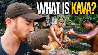 What is KAVA? (The Mysterious Drink of the Pacific)