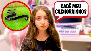 CONTEI que a COBRA PICOU nosso CACHORRINHO para MINHA FILHA ASHLEY! *Ela chorou - Pai Também Vloga