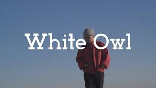 Jasian - White Owl