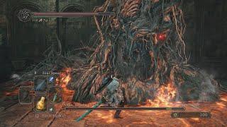 Dark Souls II - Aldia (Secret Final Boss & Alternative Ending)