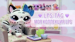 LPS TAG "Моя коллекция lps"/Littlest pet shop/LPS