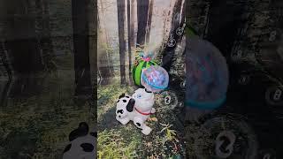 bubbles time #dancing dog #cute & adorable #cocomelon #popular #youtubeshorts