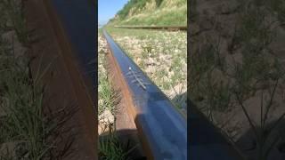 Train Vs Long Nail | Train Tier Puncture #challenge #railway #railroad #train #railwayline #Doanyway